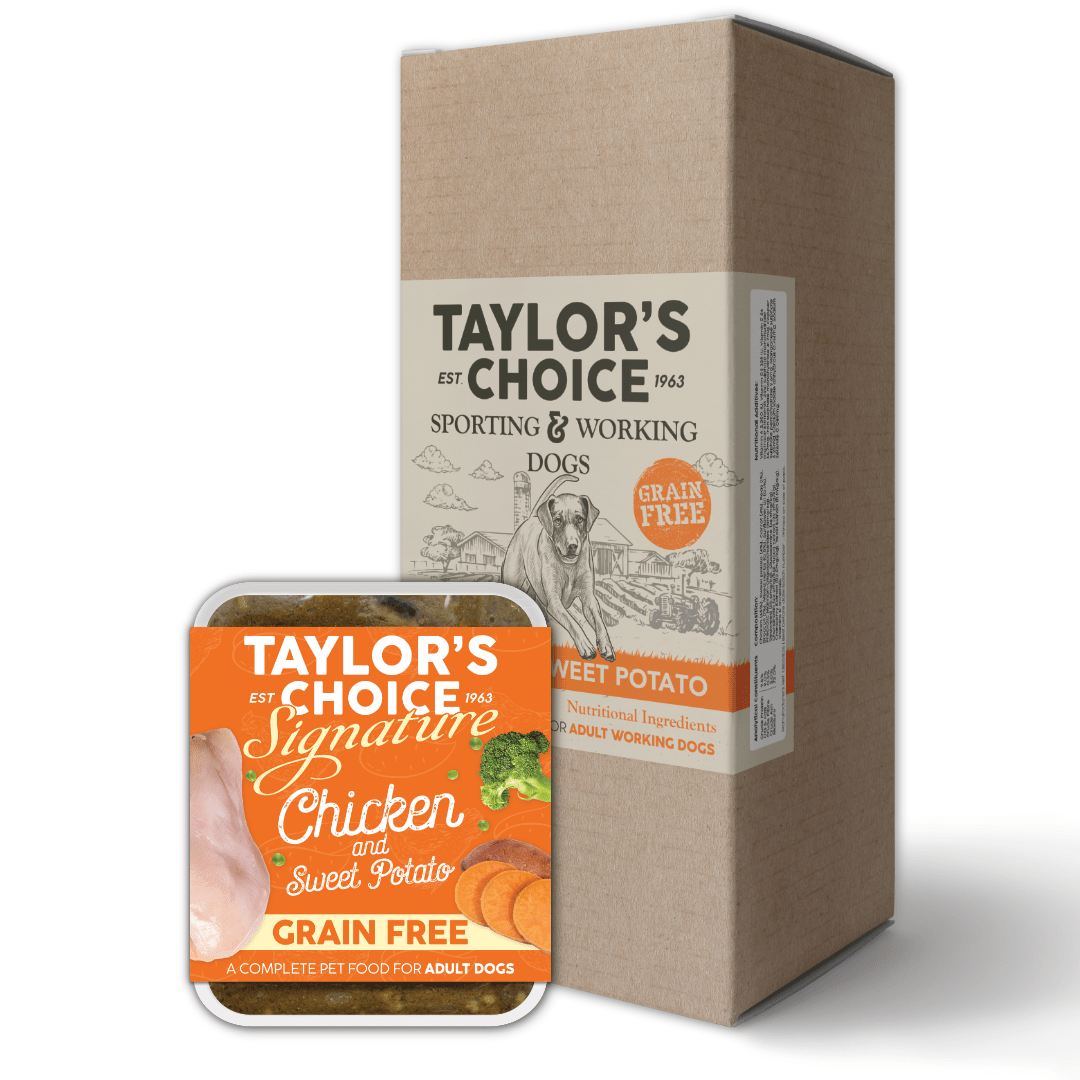 Taylors Signature Grain Free Chicken & Sweet Potato Wet Tray image 0