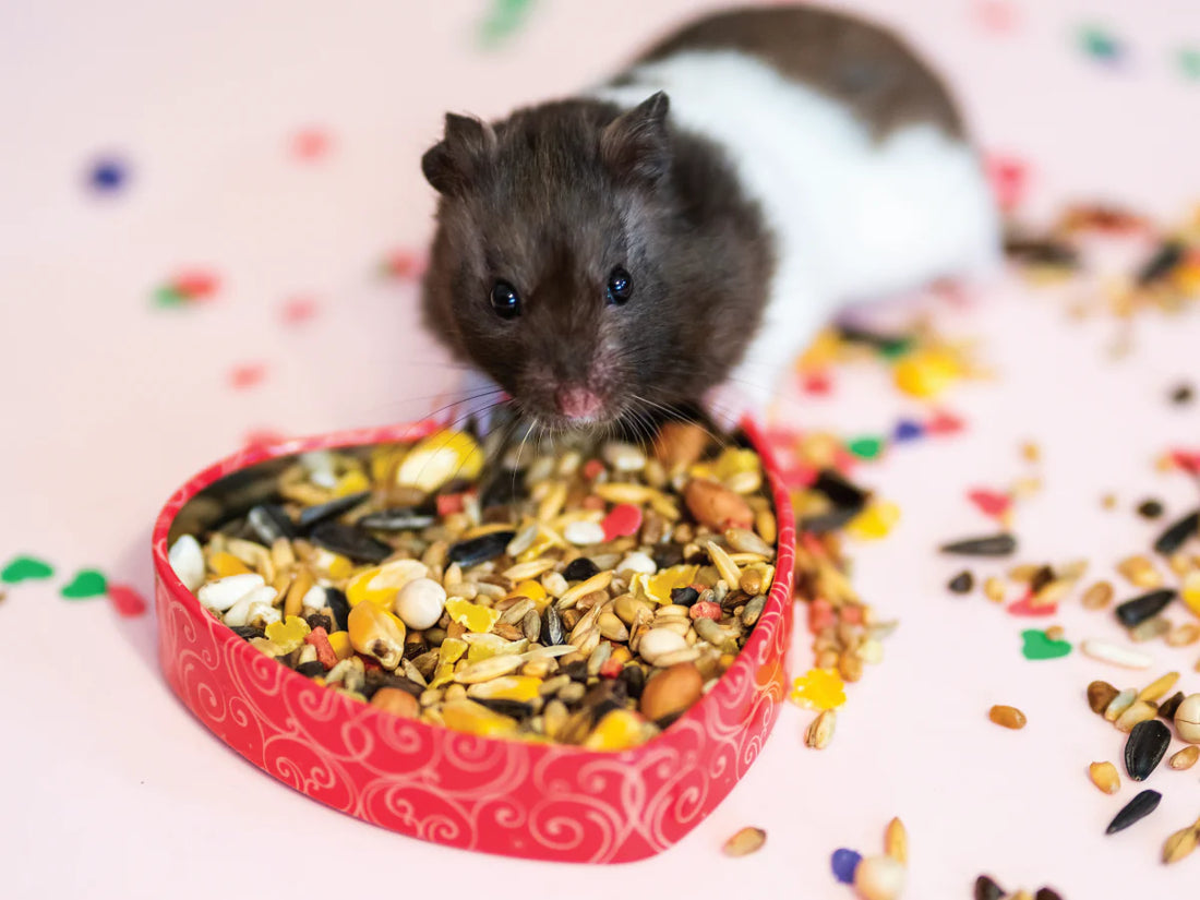 Healthy Treats for Small Animals: Snacks They’ll Love!