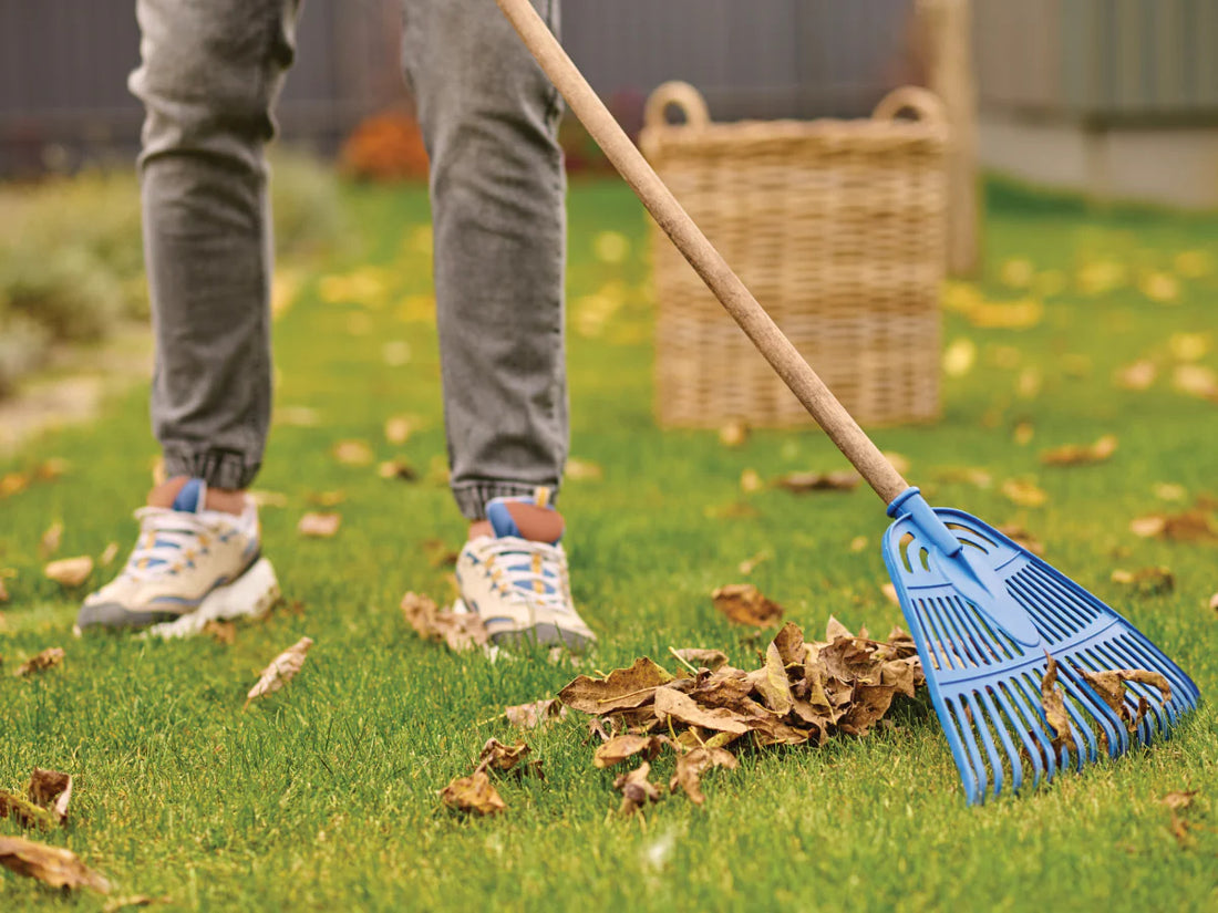 Seasonal Garden Clean-Up Without Harming Wildlife
