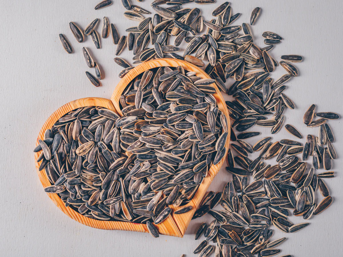 The Best Foods for UK Wild Birds: Seeds, Suet, and Beyond!