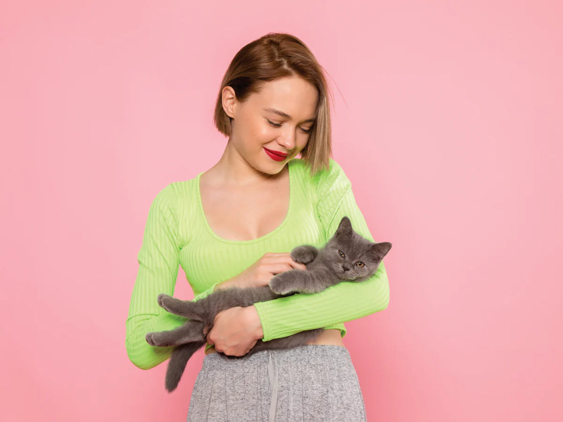 The Complete Kitten Guide