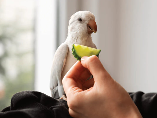 The Importance of Fresh Greens and Fruits in a Caged & Aviary Birds’ Diet