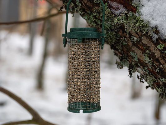 Types of Bird Feeders: A Guide to Choosing the Best One for Your Feathered Friends