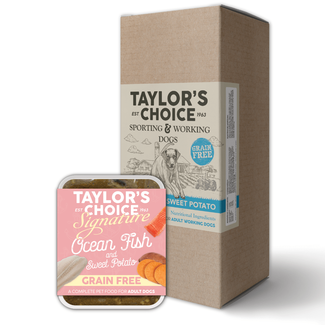 Taylors Signature Grain Free Ocean Fish & Sweet Potato Wet Tray image 0